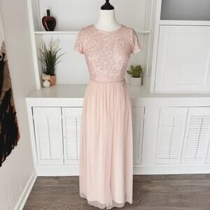 Adrianna Papell Blush Sequin Maxi Dress